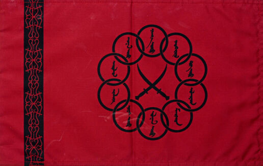 Ten Rings Flag