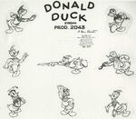 Donald model sheet