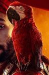 Iago (Aladdin; 2019 live-action adaptation)