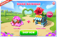 Rose Bundle