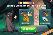 Ed bundle