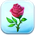 Rose Token