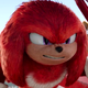 Knuckles-SNC2