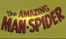 AmazingManSpider