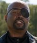 Nick Fury en el doblaje de la segunda versión de The Starving Games.