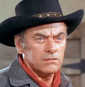 John-ireland-bonanza-8x24-1a1