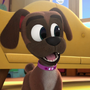 Buster en Puppy Dog Pals.