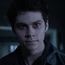 TWNogitsune-2