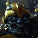 Bumblebee-TLK