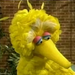 BigBird-Dellenguajealalfabetismo