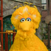 BigBird-YouCanAsk!