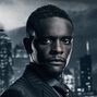 Lucius Fox en Gotham (temps. 2-5).