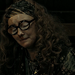 HP8SybilTrelawney