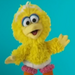 BabyBigBird-SesameBeginnings