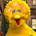 BigBird-SesameStreet