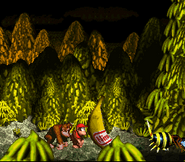 Queen B. defeated as seen in the game Donkey Kong Country for SFC/SNES.