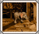 Photograph of Ellie the Elephant in the Dixie Kong's Photo Album as seen during the regular ending cutscene of the game Donkey Kong Country 3: Dixie Kong's Double Trouble! for SNES.