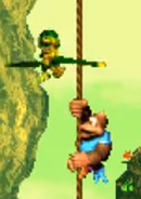 Donkey Kong Country 3: Dixie Kong's Double Trouble! (GBA)