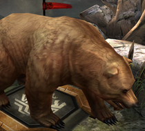 A bear in Heroes of Dragon Age