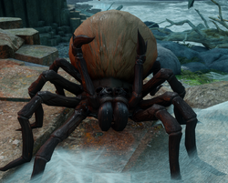 A giant spider in Dragon Age: Inquisition