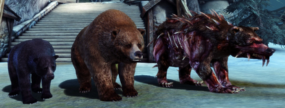 Black bear, great bear and bereskarn comparison.