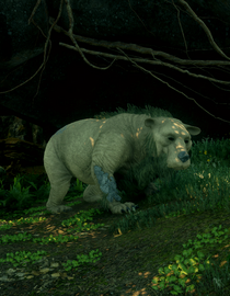 Old Scarred Paw, a unique great bear found in the Emerald Graves