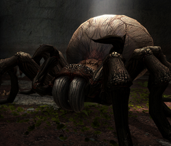 Monstrous spider in Dragon Age II