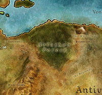 Area-ArlathanForest