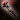 Acolyte's Staff