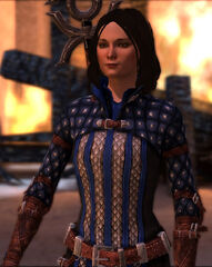 Bethany's Grey Warden Uniform