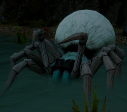 Fade-Touched spider encountered in the Frostback Basin