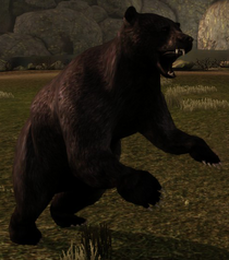 A black bear attacking in Lothering