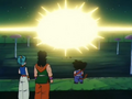 The gang watches Shenron leave