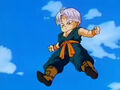 Trunks