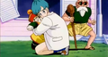 Bulma protects Gohan