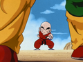 Krillin and Tien train together