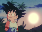 Goku under the morning sun