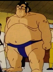 Sumo