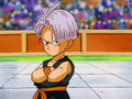 Trunks