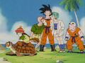 Gohan riding on Turtle happily