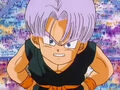 Trunks