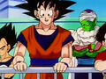 Vegeta, Goku, Piccolo, and Krillin during the battle