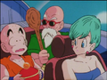 Krillin must tell Chi-Chi what happened to Goku and Gohan