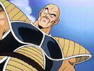 Nappa on Earth