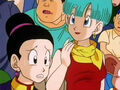 Chi-chi and Bulma