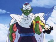 Piccolo06