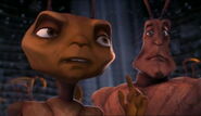 Antz-disneyscreencaps.com-8156