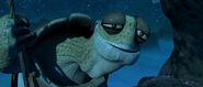 MasterOogway