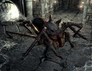 Wounded Frostbite Spider encountered in Dimhollow Crypt.