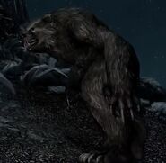 Werebear at night